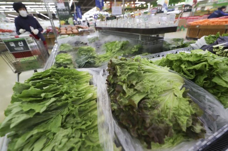 농산물. /사진=뉴시스