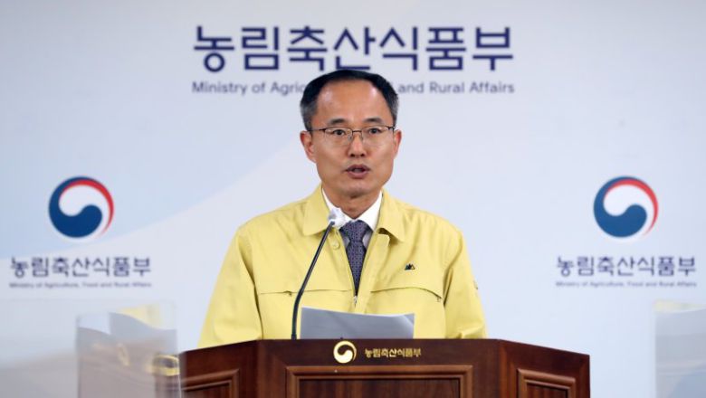 안용덕 농림축산식품부 방역정책국장이 29일 정부세종청사에서 아프리카돼지열병(ASF) 방역 종합대책을 발표하고 있다. 농식품부 제공