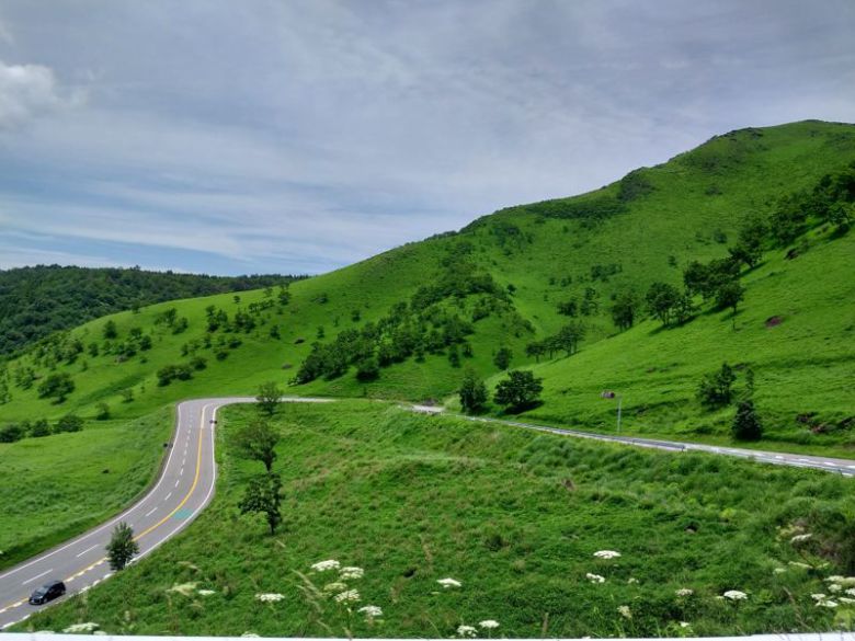 렌터카를 타고 유휴인에서 히타로 이동하는 중에 찍은 도로의 사진 /사진=이환주 기자