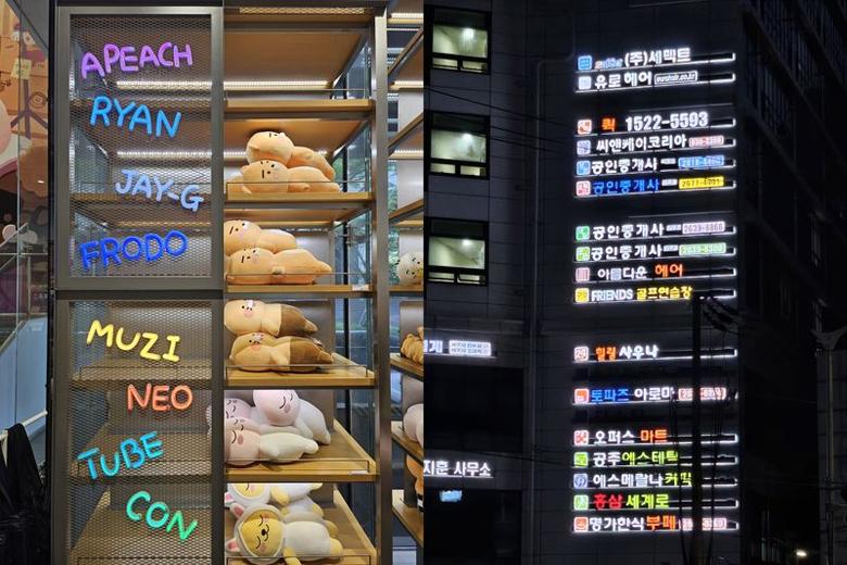 갤럭시Z플립5로 찍은 주간(왼쪽) 및 야간 사진