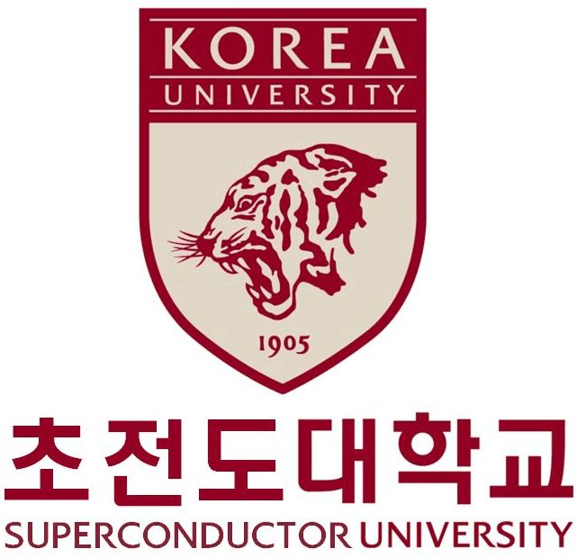 온라인에서 확산하고 있는 상온 초전도체 '밈'. /사진=온라인 커뮤니티