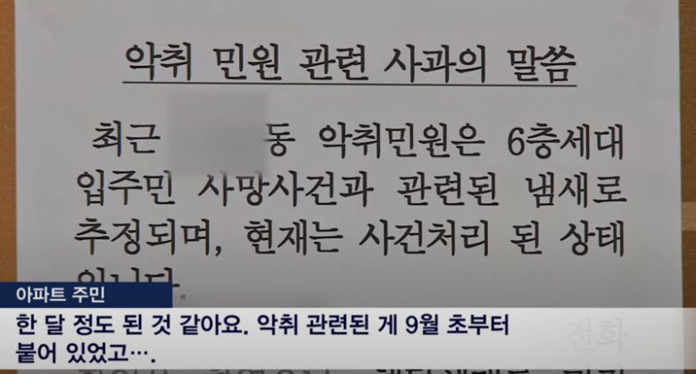 MBN 뉴스 보도화면 갈무리