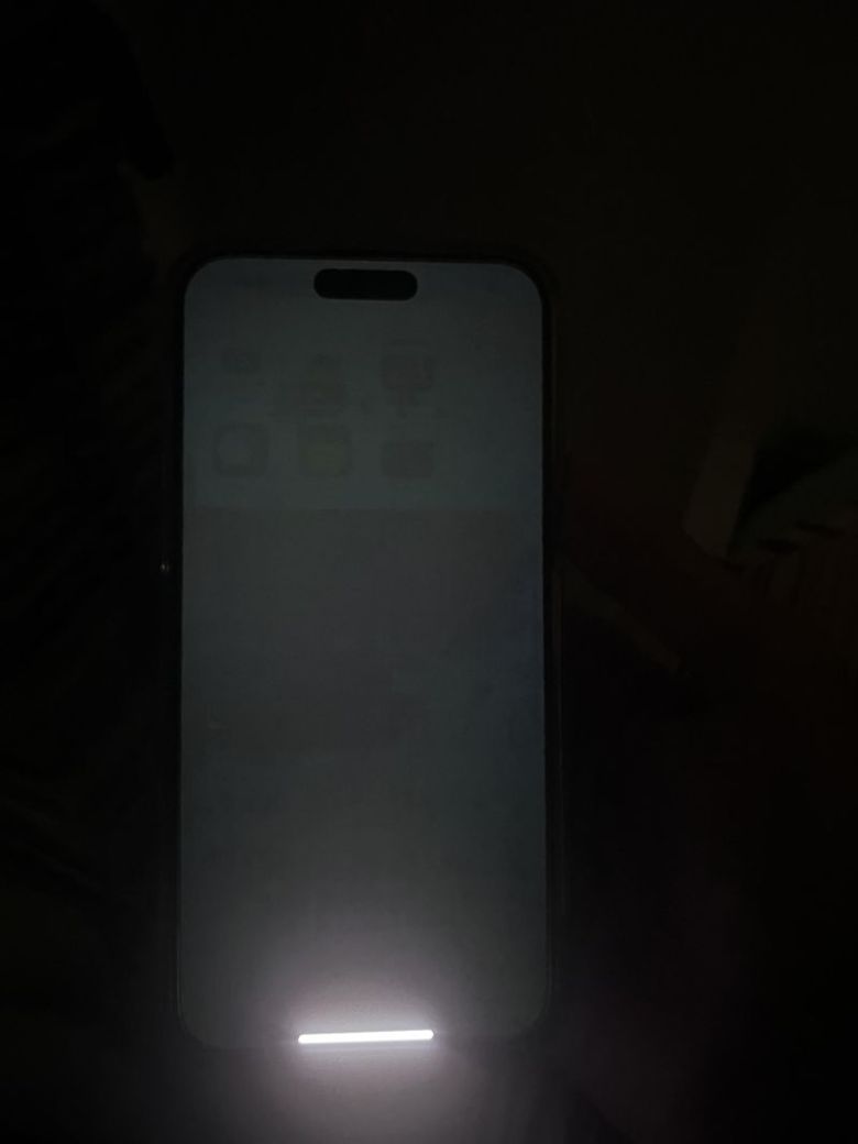 아이폰15 번인. 레딧 캡처