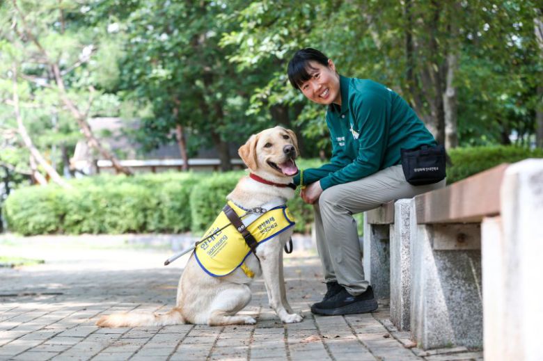 안내견이 파트너인 시각장애인을 만나기 전에 훈련사와 교육을 받고 있다. 삼성화재 제공                                      은퇴견 안내견이 훈련사, 자원봉사자와 함께 기념사진을 찍고 있다. 삼성화재 제공                                      생후 12주가량의 안내견이 자원봉사자들에게 분양돼 1년간의 사회화 훈련인 퍼피워킹을 거친다. 예비 안내견들. 삼성화재 제공