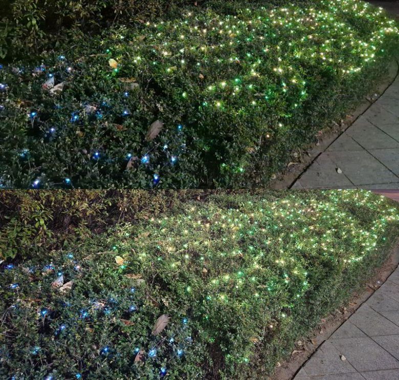 갤럭시S23 FE(위)와 갤럭시S22+로 각각 찍은 사진. 사진=구자윤 기자