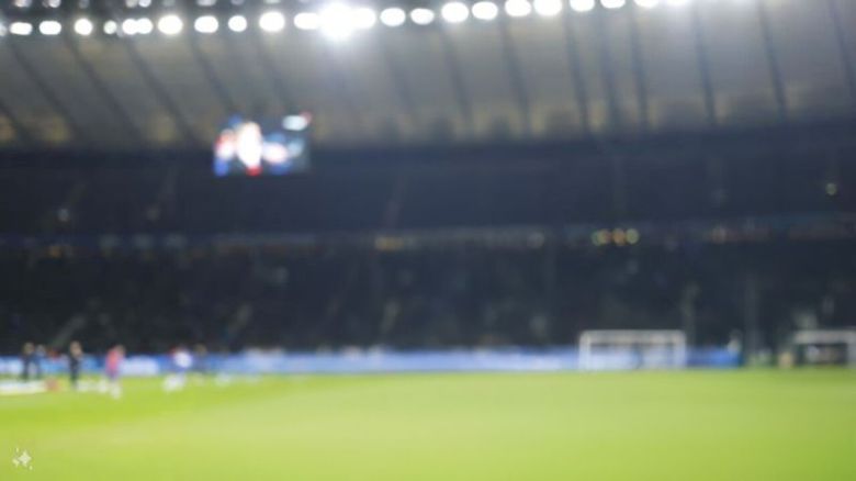 갤럭시S24 생성형 AI 사진편집 기능으로 지워진 클린스만 감독. 온라인 커뮤니티 캡처