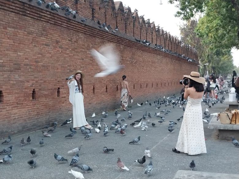 치앙마이 구 도심 동쪽에 위치한 타패게이트에서 관광객들이 비둘기와 함께 사진을 찍고 있다. 사진 이환주 기자.