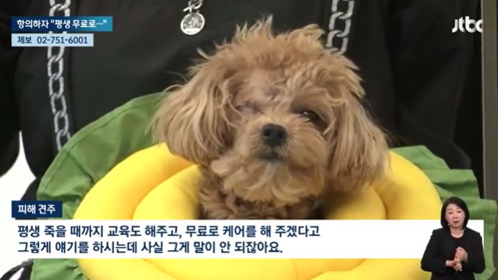 /사진=JTBC '뉴스룸' 보도 화면 캡처