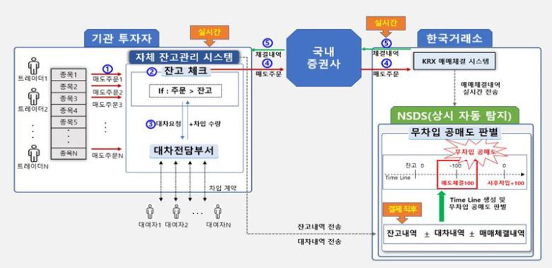 NSDS 설계도 / 사진=금융감독원 제공