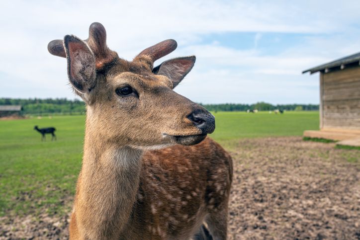 사진은 기사와 무관함. 사진=게티이미지
