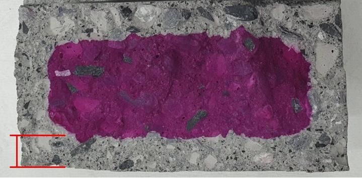 한국건설기술연구원 구조연구본부 박정준 박사팀이 이산화탄소를 먹는 콘크리트(CEC)에서 이산화탄소가 흡수된 것을 알아보기 위해 페놀프탈레인 용액을 뿌린 결과, 보라색을 띄지 않은 부분이 이산화탄소가 흡수됐다는 것을 알 수 있다. 건설기술연구원 제공