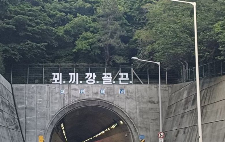 [서울=뉴시스] 부산 도시고속도로 대연터널 위에 '꾀끼깡꼴끈'이란 문구가 등장했다. (출처=온라인 커뮤니티) *재판매 및 DB 금지 /사진=뉴시스