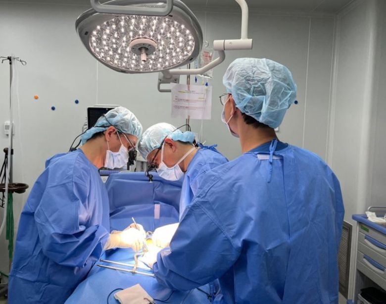 연구진이 지난 2월 16일 형질전환 미니돼지의 심장을 원숭이에 이식했다. 안전성평가연구소 제공