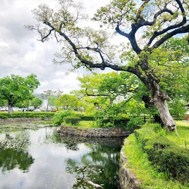 전남 광양시가 싱그러운 여름의 관문인 6월을 맞아 가족, 연인 등 소중한 사람들과 의미있는 시간을 보낼 수 있도록 유당공원<사진>, 서울대 남부연습림 관사, 매천 황현 생가 등 오랜 역사가 깃든 공간을 중심으로 구성한 광양 여행 코스 3가지를 내놨다. 광양시 제공