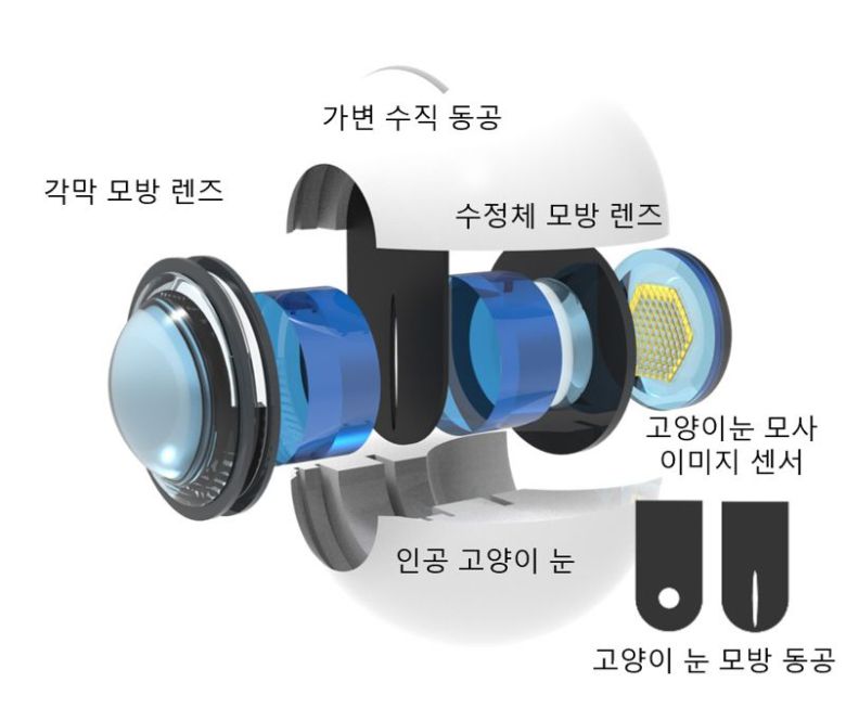 고양이 눈에서 영감을 받은 카메라 시스템은 조리개가 작아질수록 세로로 길쭉해진다. GIST 제공