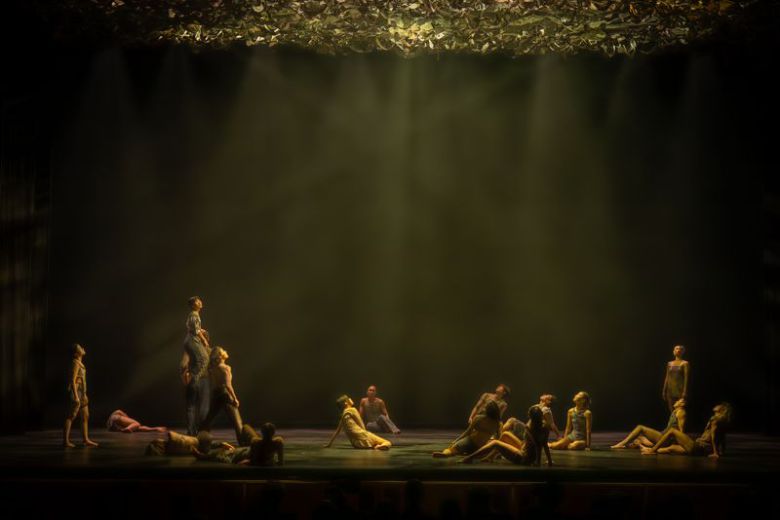 지난달 20일 UAE 아부다비에 위치한 뉴욕대아부다비 레드홀에서 국립현대무용단 '정글' 공연이 펼쳐지고 있다. 한국국제문화교류진흥원 제공                                    지난달 27일 UAE 아부다비에 위치한 뉴욕대아부다비 블루홀에서 '꿈의 오케스트라 with 아부다비 유스 오케스트라' 공연이 진행되고 있다. 한국국제문화교류진흥원 제공