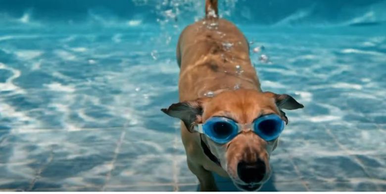 구글에서 지난 16일 공개한 VEO2 데모 영상. /사진=유튜브 갈무리
