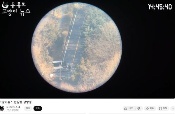 유튜브 채널 '고양이뉴스'가 지난 14일 밤부터 서울 용산구 한남동 대통령 관저에서 윤석열 대통령의 2차 체포영장 집행을 생중계했다. 출처=유튜브 채널 '고양이뉴스'