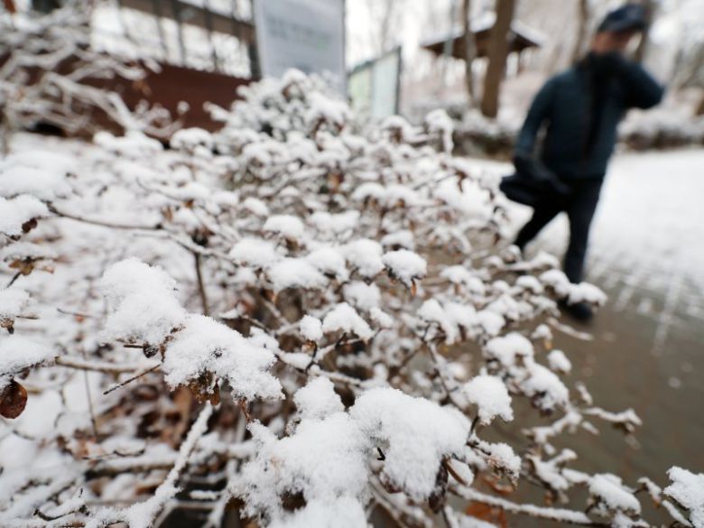 (사진은 기사 내용과 무관함) / 뉴스1 ⓒ News1 /사진=뉴스1