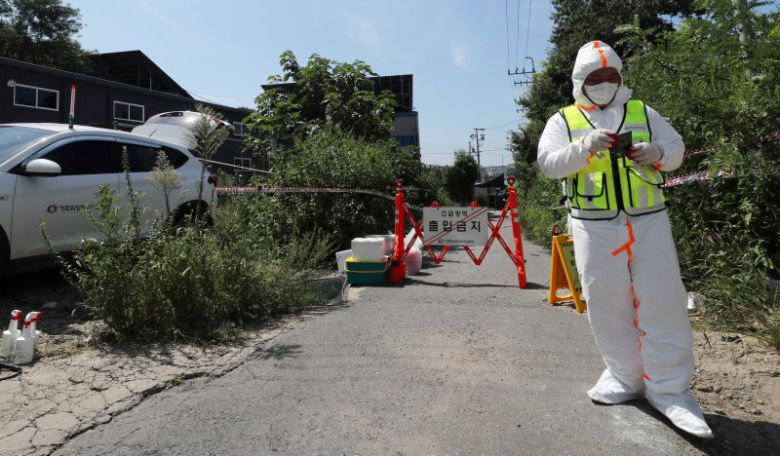 경기도 김포시 한 양돈농가에 아프리카돼지열병(ASF)이 발병해 방역 관계자들이 차량을 통제하고 있다. ⓒ News1 박세연 기자 /사진=뉴스1