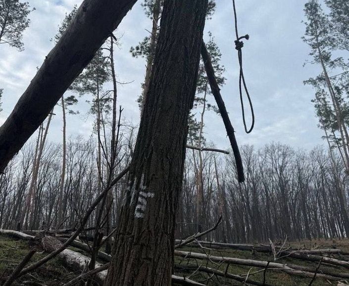 우크라이나 언론인 안드리 차플리엔코는 5일(현지 시간) 텔레그램 채널을 통해 쿠르스크 전선에 파병된 북한군이 극단적 선택을 하는 사례가 나타났다고 주장했다. 사진=차플리엔코 텔레그램 채널, 뉴시스