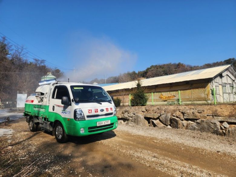 경기도가 도내 한 돼지 농가에서 아프리카돼지열병(ASF) 방역 작업을 하고 있다. 뉴시스