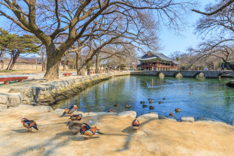 남원 광한루원 내 연지에서 원앙들이 떼를 지어 노닐고 있다.                                    콘크리트 박스를 쌓아올린 듯한 형상의 남원시립김병종미술관                                    드라마 '미스터 션샤인' 촬영지로 유명한 남원 서도역 폐철로 / 남원시 제공