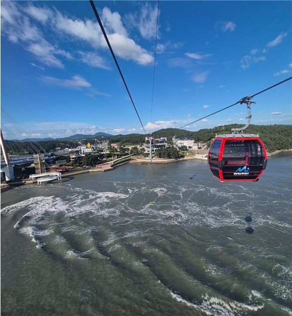 전라우수영관광지 명량해상케이블카. 아래로 울돌목의 세찬 물살이 보인다.                                    산이정원을 지키고 있는 200년 된 동백나무.