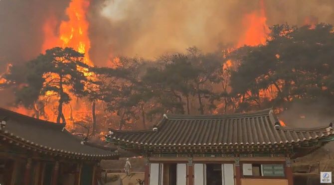 사진=유튜브 채널 ‘플러스경북’ 영상 캡처