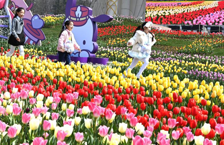 에버랜드 튤립축제가 시작된 21일 경기도 용인시 에버랜드 포시즌스 가든을 찾은 어린이들이 활짝 핀 튤립 꽃길을 거닐며 봄기운을 만끽하고 있다. 뉴시스.