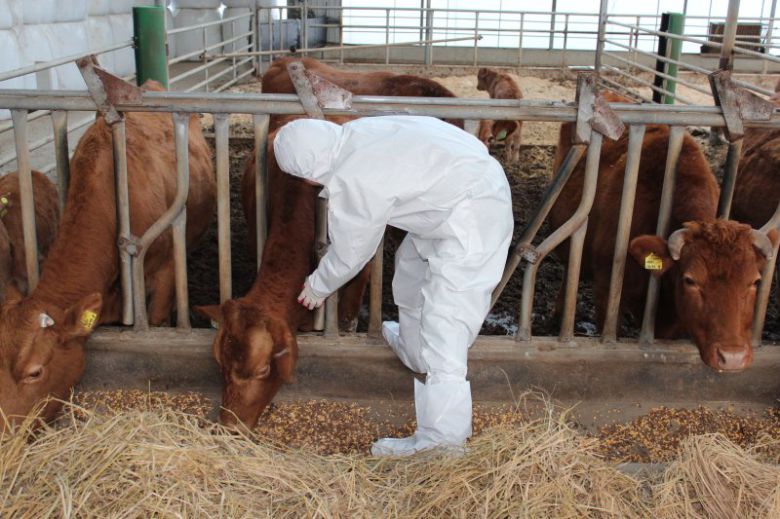 한우 농가 백신 접종 자료사진. 전북도 제공