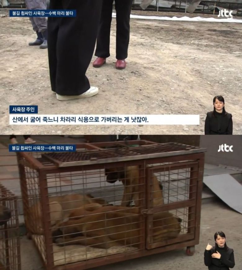 사진=JTBC 뉴스 갈무리