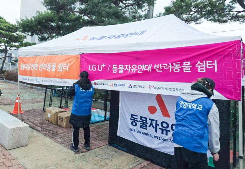 의성체육관 인근에 설치된 국내 최초 반려동물 특화 구호소 모습. LG유플러스 제공