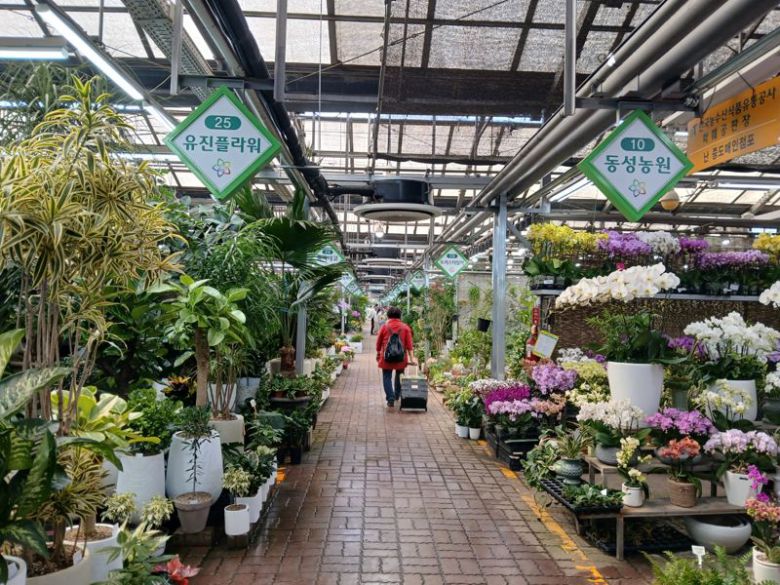 파이낸셜뉴스