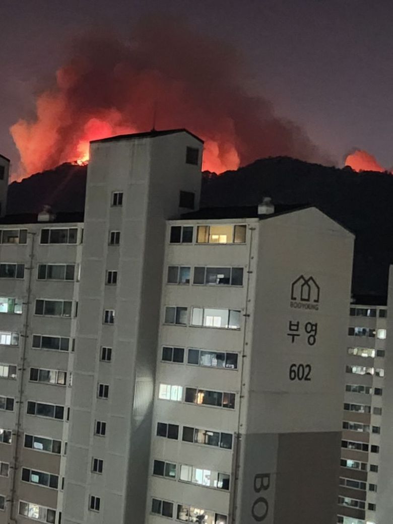 28일 오후 2시 1분께 대구시 북구 노곡동 함지산에서 난 불이 강한 바람을 타고 확산하고 있다. 독자 제공