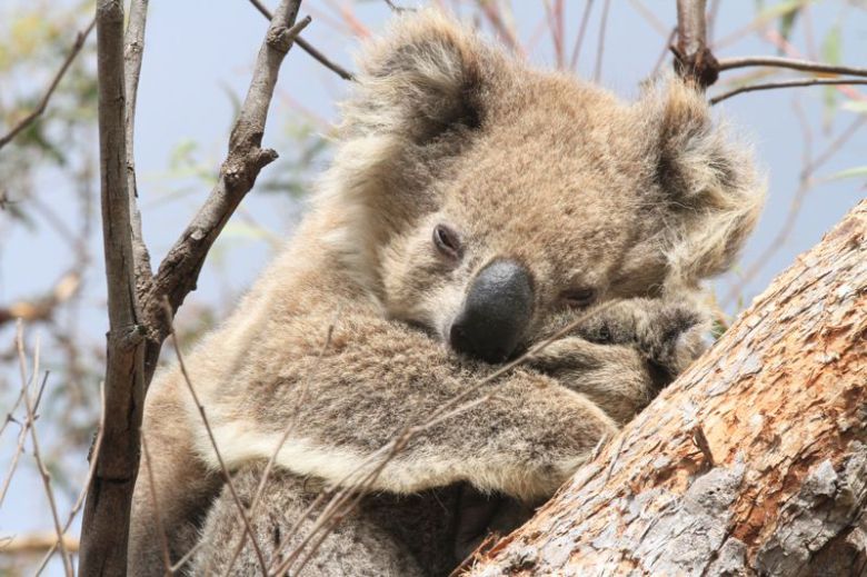 사진은 기사 본문과 무관함./사진=게티이미지뱅크