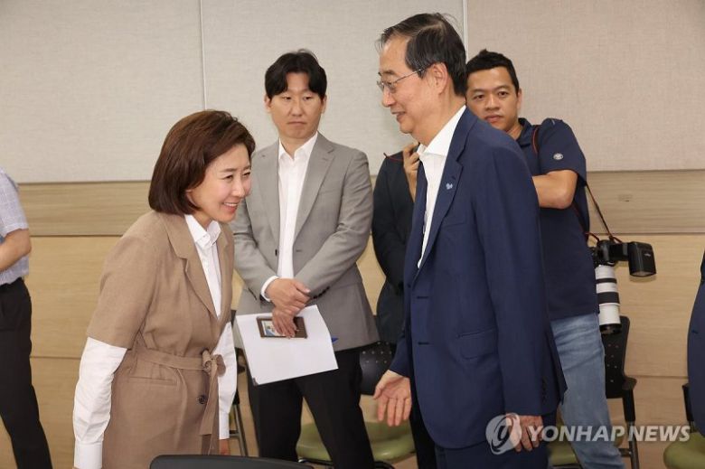 한덕수 대통령 권한대행 국무총리(오른쪽)와 국민의힘 나경원 의원 /사진=연합뉴스