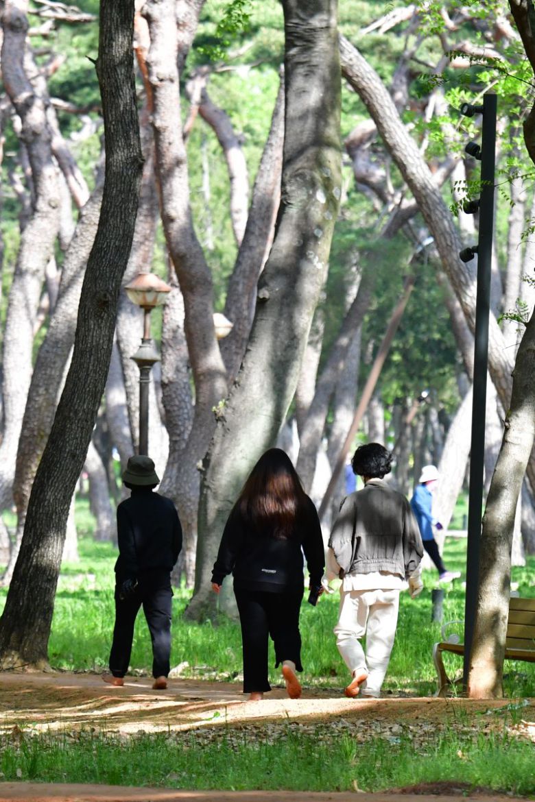 경북 경주시 황성공원에서 시민들이 맨발로 걸으며 아침 운동을 하고 있다. 사진=뉴시스