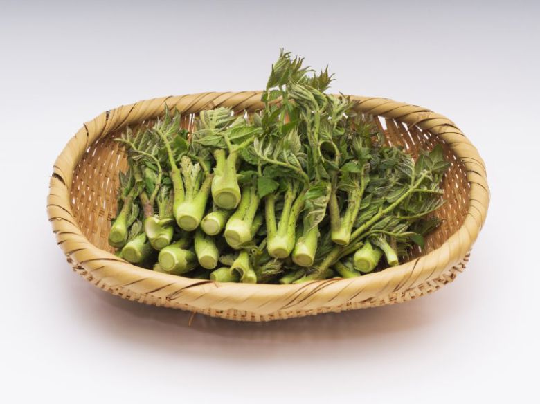 게티이미지뱅크                                      이마성 365한의원 원장