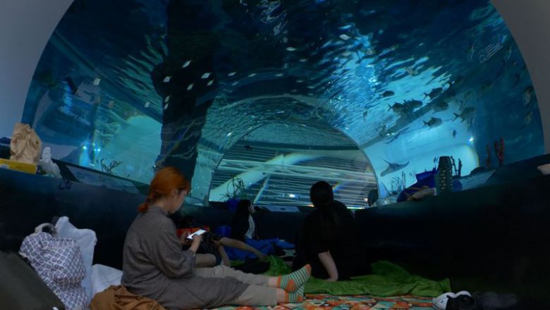 국립해양박물관의 뮤지엄나잇 오션필름위크. 국립해양박물관 제공
