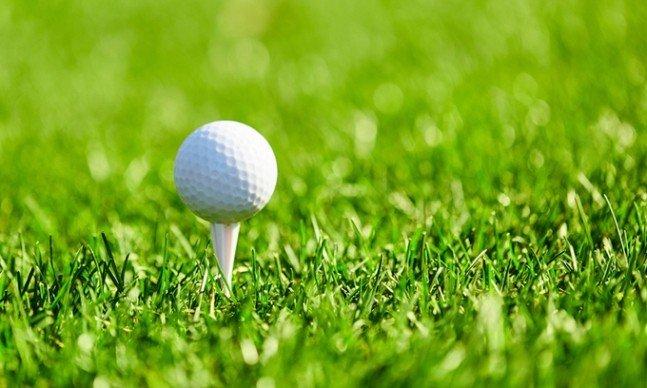 /사진=연합뉴스