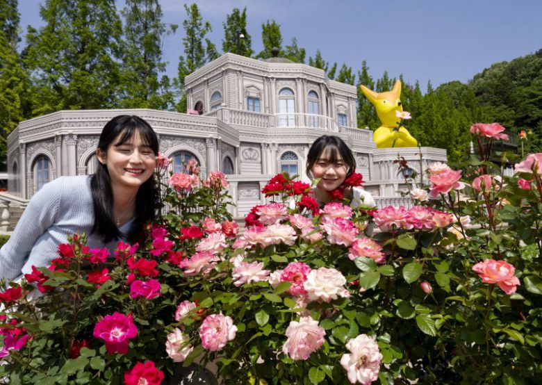 에버랜드 로로티 장미축제 '장미성' 전경                                    올해로 개막 40주년을 맞은 에버랜드 장미축제의 주인공은 사막여우 '도나 D 로지'다. 에버랜드 제공