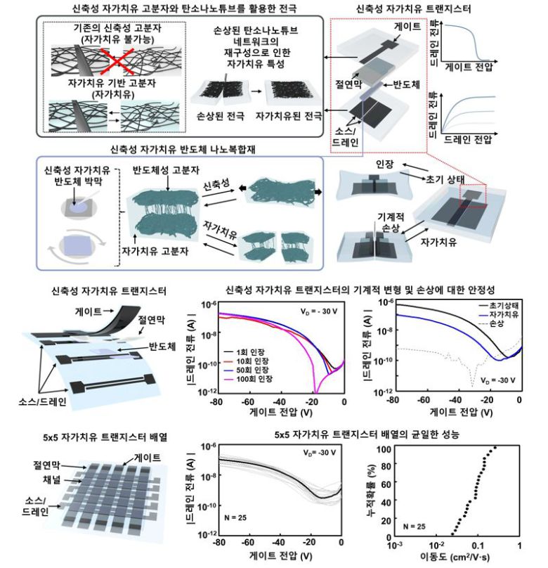 신축성 자가치유 트랜지스터의 구성요소와 특성. 한국연구재단 제공