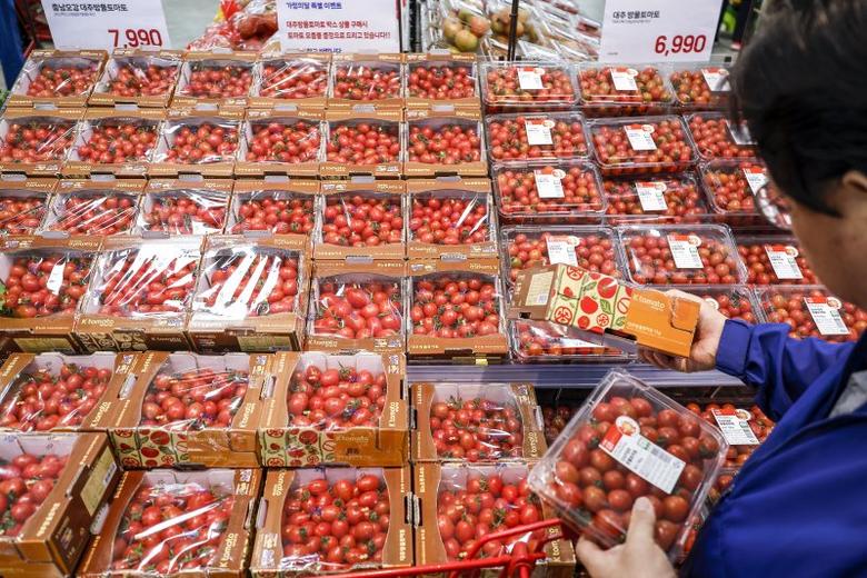 방울토마토를 들고 살피는 모습. (기사의 이해를 돕기 위한 자료사진) 뉴시스