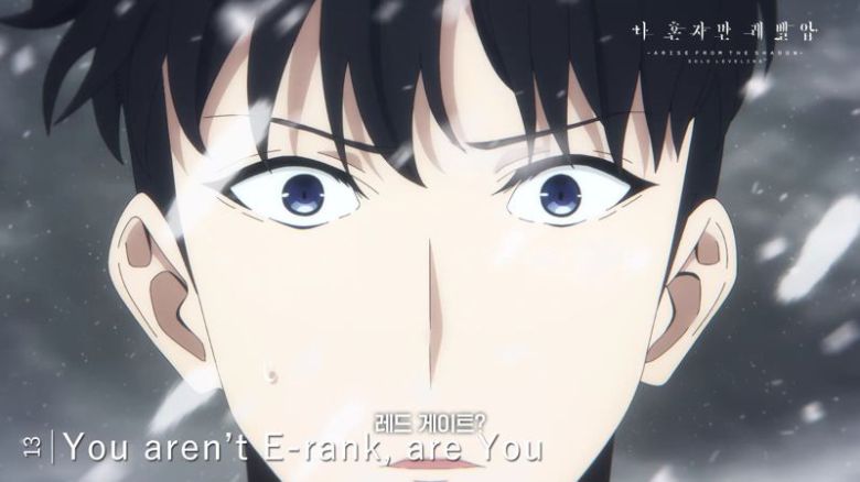 TVA '나 혼자만 레벨업' 스페셜 극장판. 애니플러스 제공