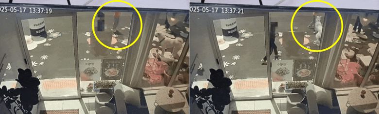 /사진=온라인커뮤니티