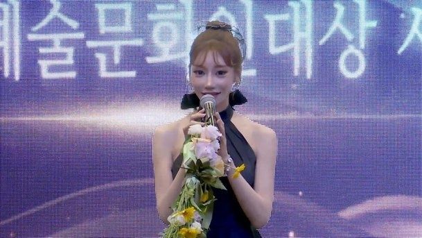 사진=대한민국 예술문화인대상 시상식 캡처