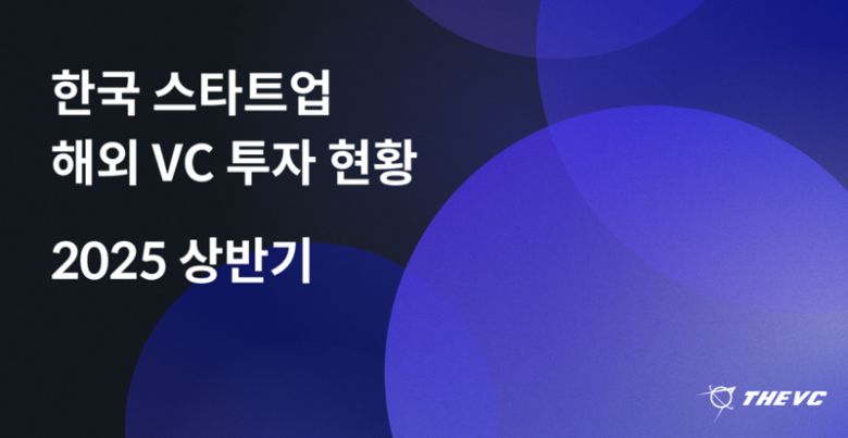 2025년 상반기 한국 스타트업 해외 벤처캐피탈(VC) 투자 현황. 더브이씨 제공
