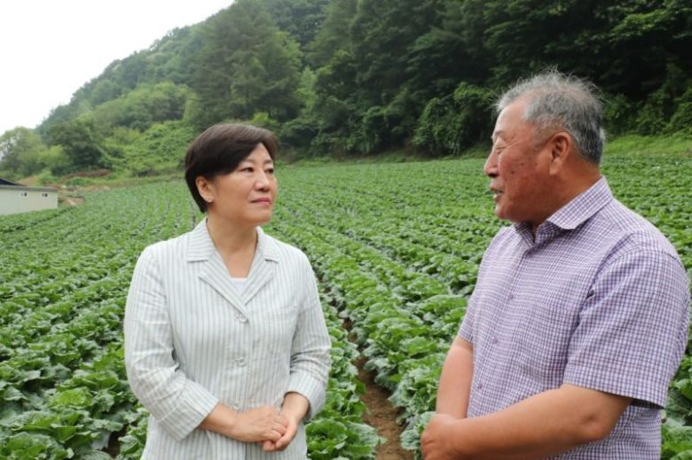 송미령 농림축산식품부 장관(왼쪽)이 6일 강원 평창군 여름배추 재배지를 방문해 생육 현황을 점검하고 있다. 농림축산식품부 제공