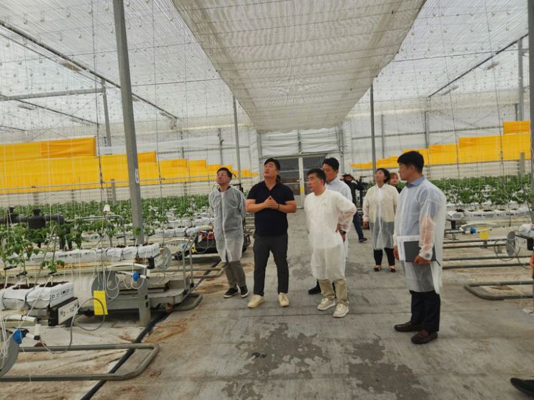 NH농협은행 농업,공공부문 백남성 부행장이 농업회사법인 팜팜(주)를 방문해 스마트팜 이후 토마토 재배에 대한 이야기를 하고 있다. 농협은행 제공